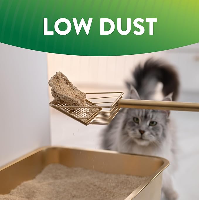 ARM & Hammer Plant Power Lightweight Plant-Based Clumping Cat Litter for Multi-Cat Homes, 14-Day Odor Control, Highly Absorbent Natural Grain Formula, Unscented 15 Lbs