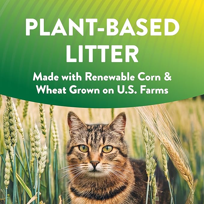 ARM & Hammer Plant Power Lightweight Plant-Based Clumping Cat Litter for Multi-Cat Homes, 14-Day Odor Control, Highly Absorbent Natural Grain Formula, Unscented 15 Lbs