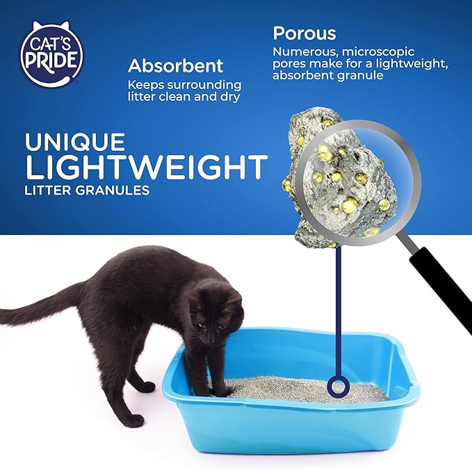 Cat's Pride Premium Lightweight Clumping Litter: Complete Care - Up to 10 Days of Powerful Odor Control - Hypoallergenic - Multi-Cat, Unscented, 10 Pounds (Pack of 2)