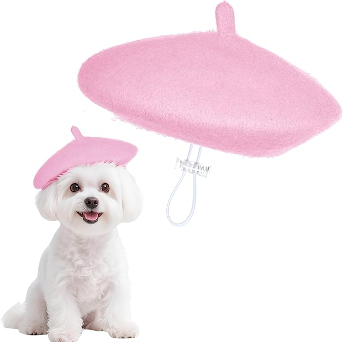 choyaxo 1pcs Dog Beret Funny Artist Dog hat for Small Dogs Cat Halloween