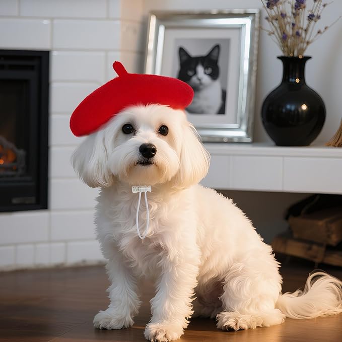 choyaxo 1pcs Dog Beret Funny Artist Dog hat for Small Dogs Cat Halloween