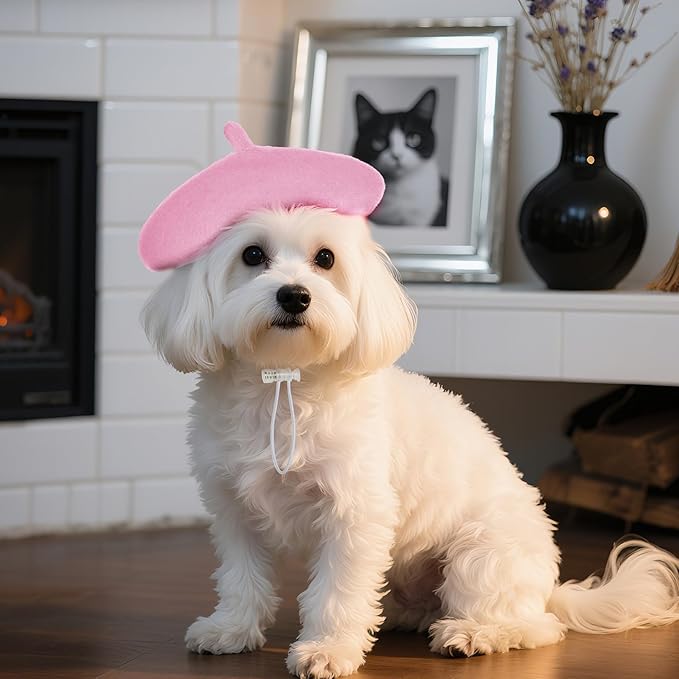 choyaxo 1pcs Dog Beret Funny Artist Dog hat for Small Dogs Cat Halloween