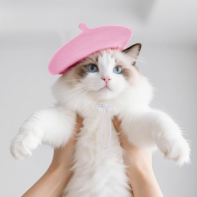 choyaxo 1pcs Dog Beret Funny Artist Dog hat for Small Dogs Cat Halloween