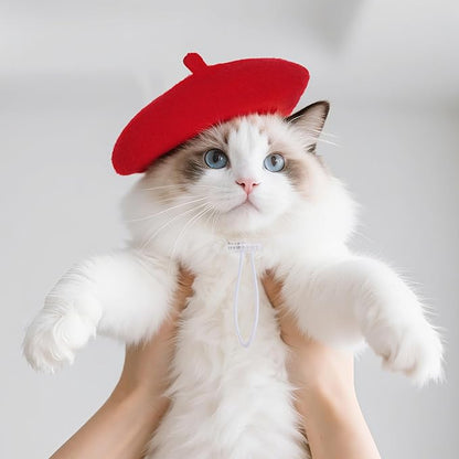 choyaxo 1pcs Dog Beret Funny Artist Dog hat for Small Dogs Cat Halloween