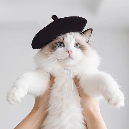 choyaxo 1pcs Dog Beret Funny Artist Dog hat for Small Dogs Cat Halloween