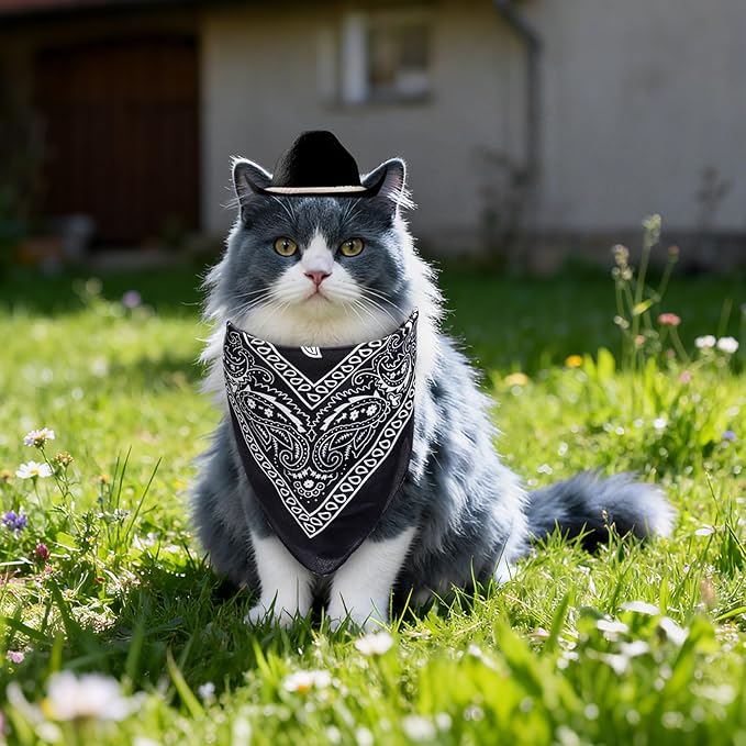 choyaxo Dog Cowboy Hat Dog Cowboy Costume for Small Pet Dogs Cat Cowboy Hat with Bandana Scarf Set Party Accessories (Black, Medium)