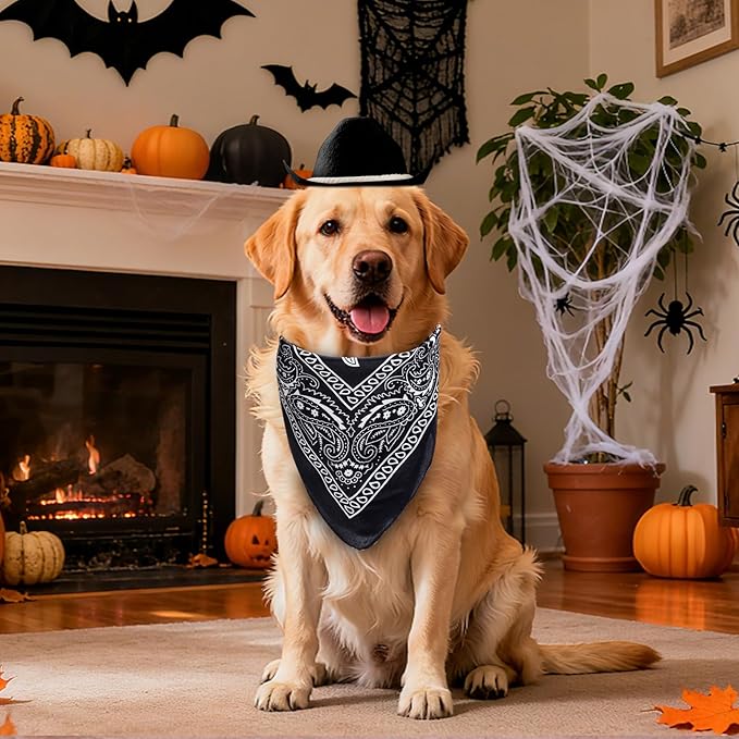 choyaxo Dog Cowboy Hat Dog Cowboy Costume for Small Pet Dogs Cat Cowboy Hat with Bandana Scarf Set Party Accessories (Black, Medium)
