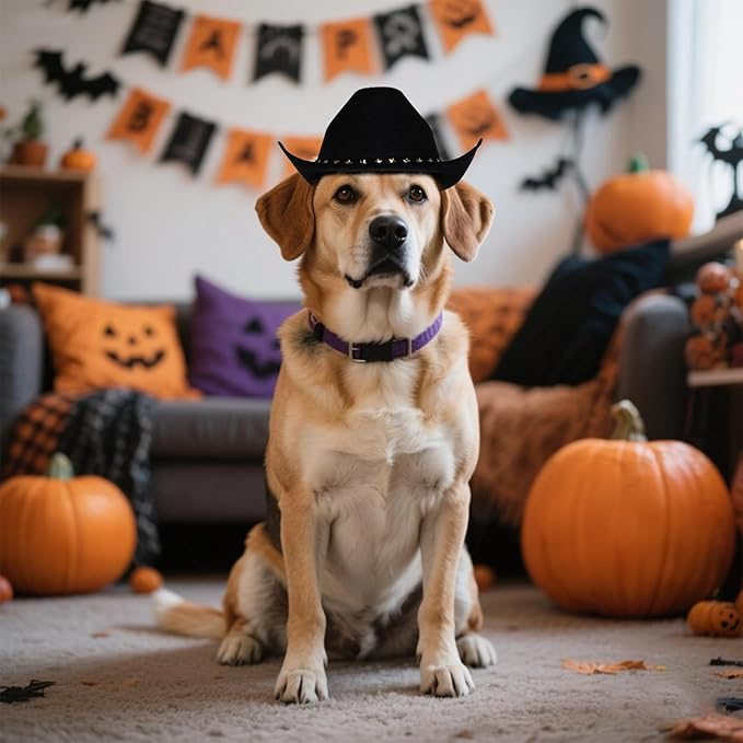choyaxo Pet Cowboy Costume Cosplay Cap Halloween Costumes for Dogs Cat Pet Party Decoration Mini Cowboy Hat (Black, Large)