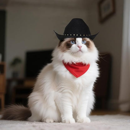 choyaxo Pet Cowboy Costume Cosplay Cap Halloween Costumes for Dogs Cat Pet Party Decoration Mini Cowboy Hat (Black, Medium)