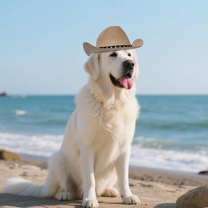 choyaxo Pet Cowboy Costume Cosplay Cap Halloween Costumes for Dogs Cat Pet Party Decoration Mini Cowboy Hat (Khaki, Large)