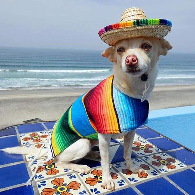 CIEOVO Dog & Cat Straw Sombrero Hat, Mini Mexican Hats, One Size Fits All, Lightweight, Multi-Use Pet Apparel