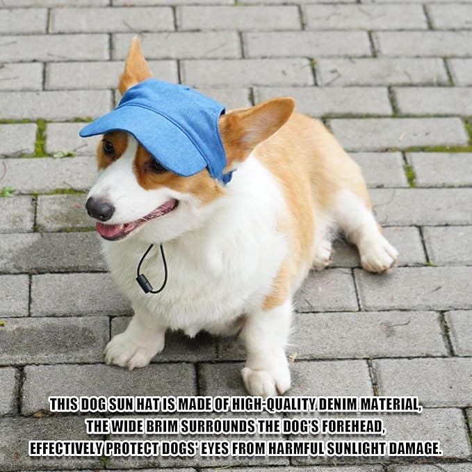 Dog Baseball Cap,Pet Summer Beach Hat,Dog Cat Sunbonnet Cap with Ear Holes,Adjustable Cat Visor for Small Medium Large Dogs (Blue, Small)