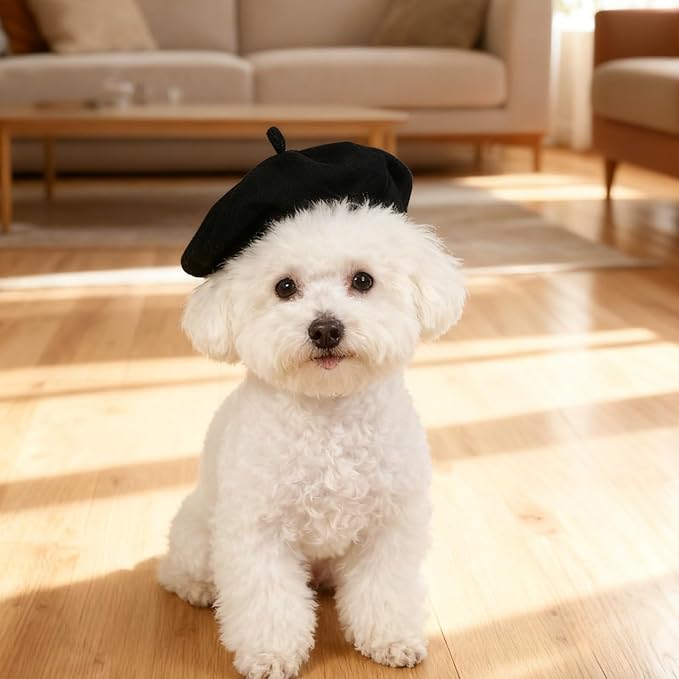 Dog Beret for Small Dogs Black Cat Beret Dog Hat Artist Pet Costume Dogs Fedora Hats Pet Headwear for Pets Cat Photo Props Christmas (Black)