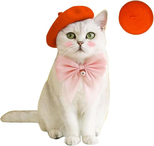 Dog Beret Hats Cats Hats Fashion Four Seasons Funny Wool Winter Pet Hat (Orange)