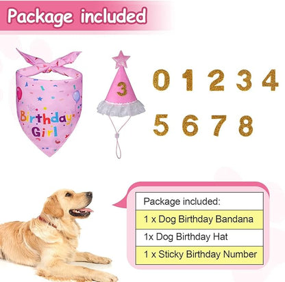 Dog Birthday Decorations, Dog Birthday Hat with Numbers for Large Medium Small,Pet Supplies (Pink)
