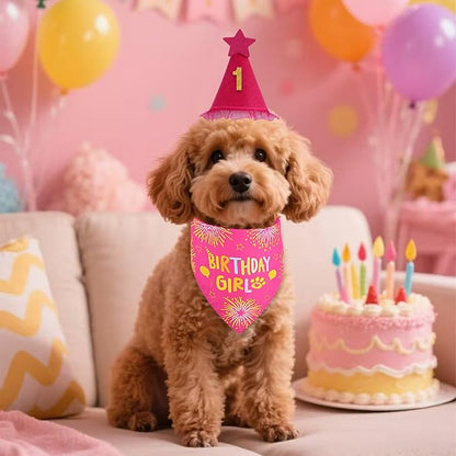 Dog Birthday Decorations Rose Pink, Dog Birthday Party Supplies with Hat Bandana Numbers for Large Medium Girl Pets Puppy