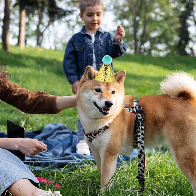 Dog Birthday Hat, 4 Pcs Birthday Hat for Dogs with 0-9 Numbers Cute Party Hats for Dogs Cats for Holiday Wedding Puppies Kittens Costume Accessories (Red Pink Blue Gold)