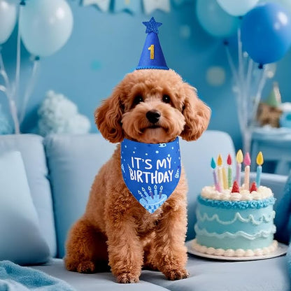 Dog Birthday Party Supplies, Blue Dog Birthday Set with Hat Bandana Numbers for XLarge Large Boy Pets Puppy