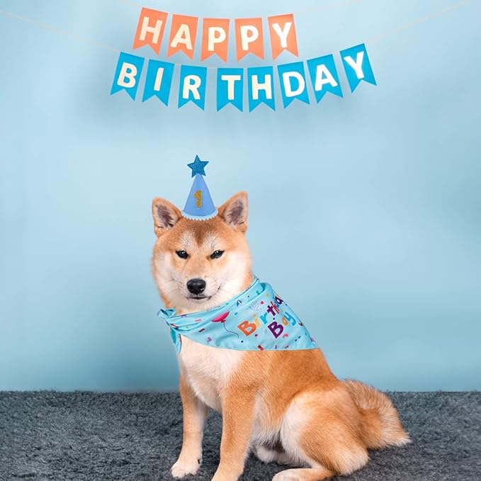 Dog Birthday Party Supplies, Dog Birthday Bandana Set, Dog Boy Girl Birthday Party Hat with Numbers for Large Medium Small Dogs Pet (Blue)