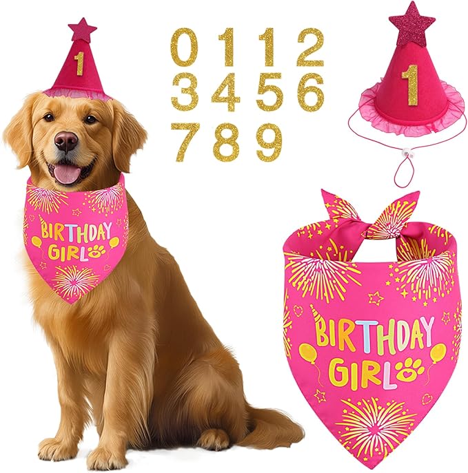 Dog Birthday Party Supplies, Rose Pink Dog Birthday Set with Hat Bandana Numbers for XLarge Large Girl Pets Puppy
