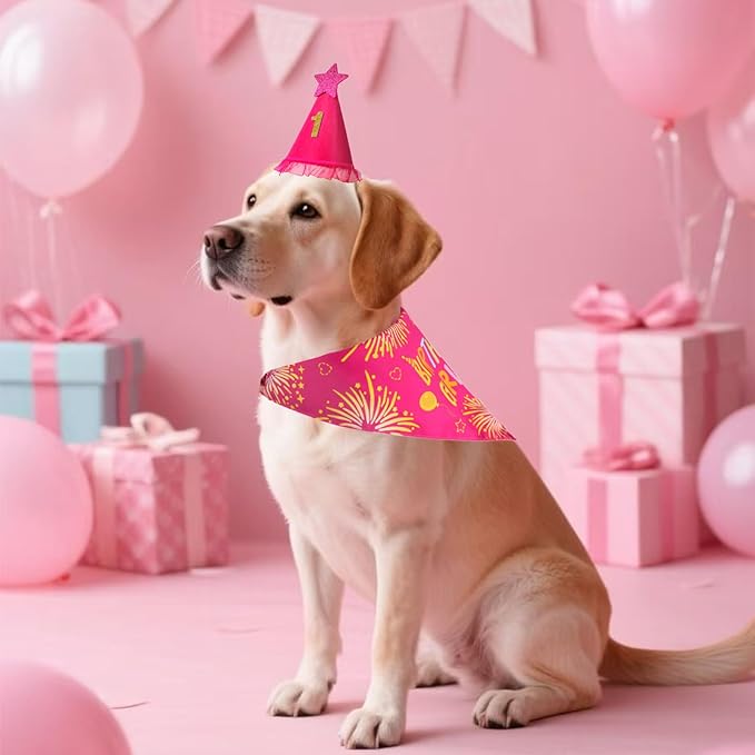 Dog Birthday Party Supplies, Rose Pink Dog Birthday Set with Hat Bandana Numbers for XLarge Large Girl Pets Puppy