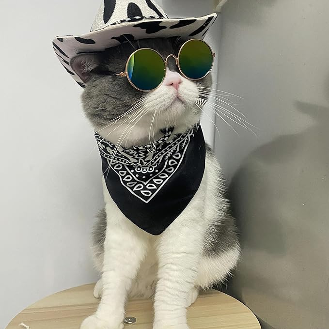 Dog Cowboy Costume Pet Cowboy Hat for Pet Dogs Cat Cowboy Hat with Bandana Scarf Set Party Accessories (Black)