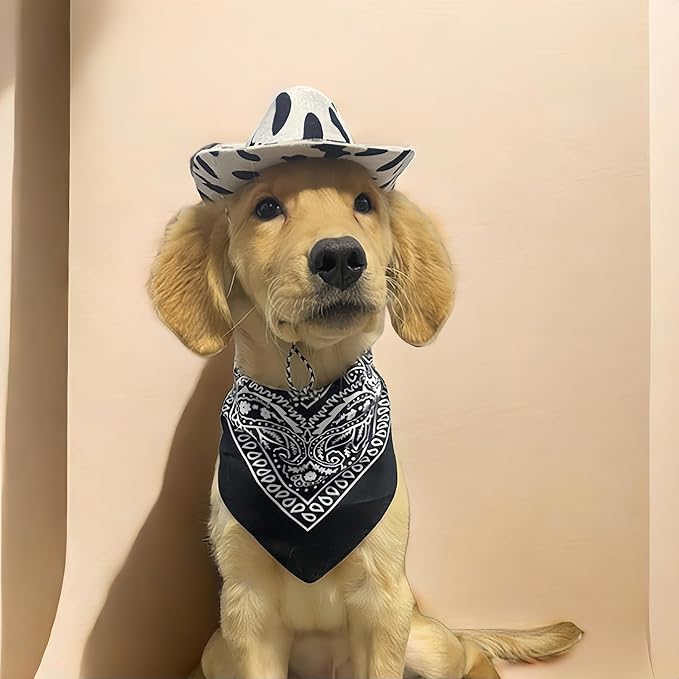 Dog Cowboy Costume Pet Cowboy Hat for Pet Dogs Cat Cowboy Hat with Bandana Scarf Set Party Accessories (Black)