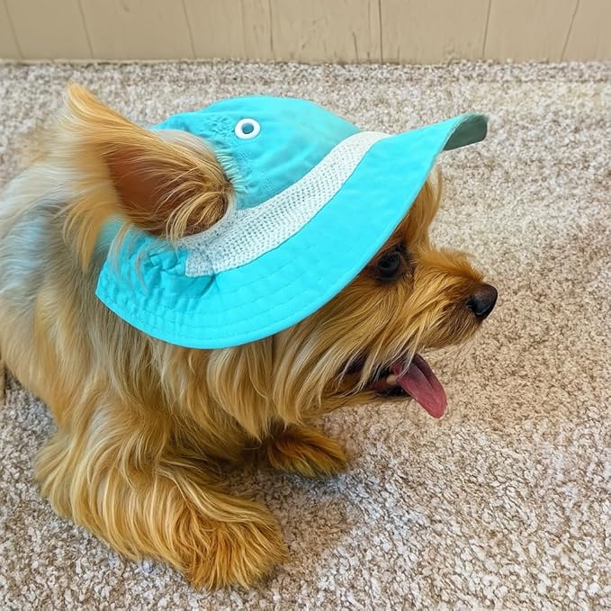 Dog Outdoor Hat with Ear Hole Round Brim Summer Dog Puppy Cat Suncare Cooling Bucket Hat Cute Active Sun Protection Pet Caps (Blue, Medium)