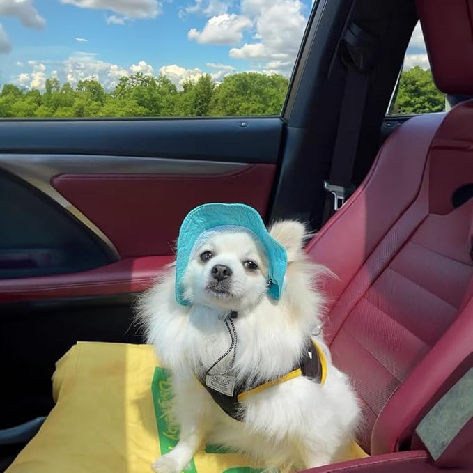 Dog Outdoor Hat with Ear Hole Round Brim Summer Dog Puppy Cat Suncare Cooling Bucket Hat Cute Active Sun Protection Pet Caps (Blue, Medium)