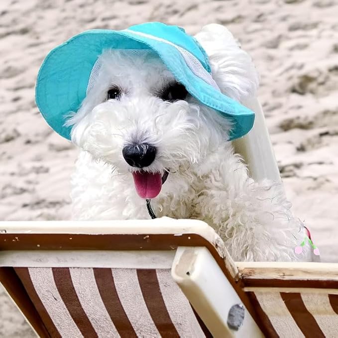 Dog Outdoor Hat with Ear Hole Round Brim Summer Dog Puppy Cat Suncare Cooling Bucket Hat Cute Beach Sun Protection Pet Caps (Blue Large)