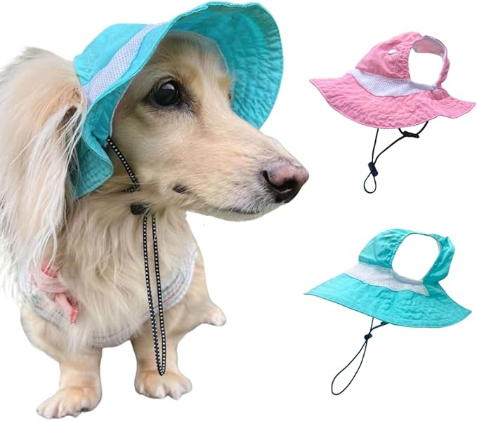 Dog Outdoor Hat with Ear Hole Round Brim Summer Dog Puppy Cat Suncare Cooling Bucket Hat Cute Beach Sun Protection Pet Caps (Blue Large)