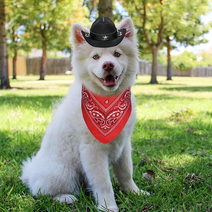 GOYOSWA Dog Halloween Costumes, Dog Cowboy Costume Halloween Pet Cowboy Hat Bandana Scarf for Small Medium Large Dogs Pets (Black Hat & Red Bandana, Small)