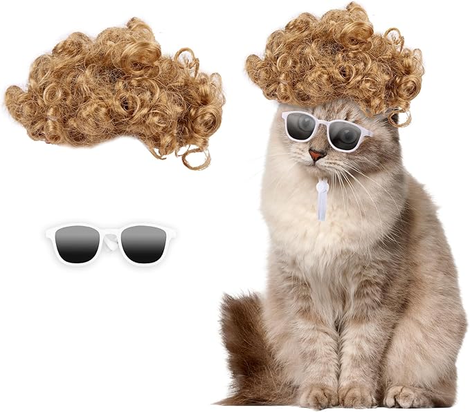 HOWWFALY Cat Apparel Cat Gold Afro Wig with White Small Glasses Styling Cute Funny Pet Hair Accessories Decoration for Halloween, Christmas, Parties