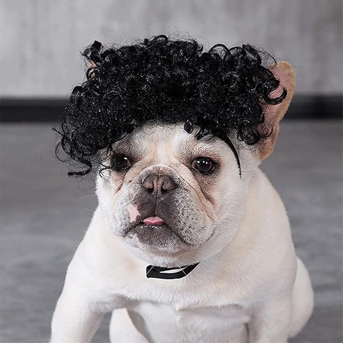 HOWWFALY Dog Costume Cat Apparel Dog Toys Curly Braids Headgear Wigs Styling Cute Funny Pet Hair Accessories Decoration for Halloween, Christmas, Parties (Black)
