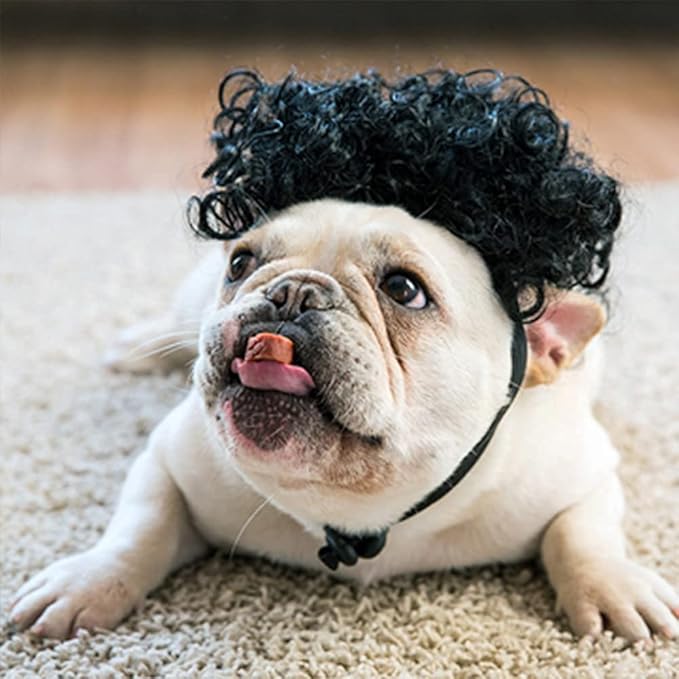 HOWWFALY Dog Costume Cat Apparel Dog Toys Curly Braids Headgear Wigs Styling Cute Funny Pet Hair Accessories Decoration for Halloween, Christmas, Parties (Black)