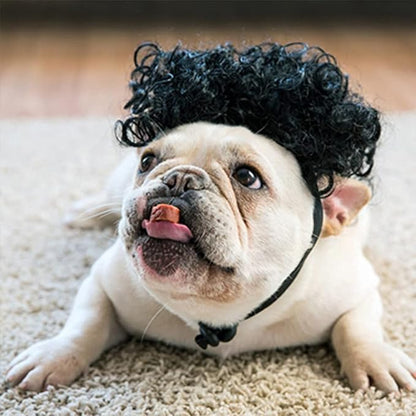 HOWWFALY Dog Costume Cat Apparel Dog Toys Curly Braids Headgear Wigs Styling Cute Funny Pet Hair Accessories Decoration for Halloween, Christmas, Parties (Black)