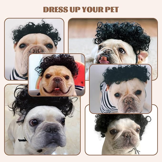 HOWWFALY Dog Costume Cat Apparel Dog Toys Curly Braids Headgear Wigs Styling Cute Funny Pet Hair Accessories Decoration for Halloween, Christmas, Parties (Black)