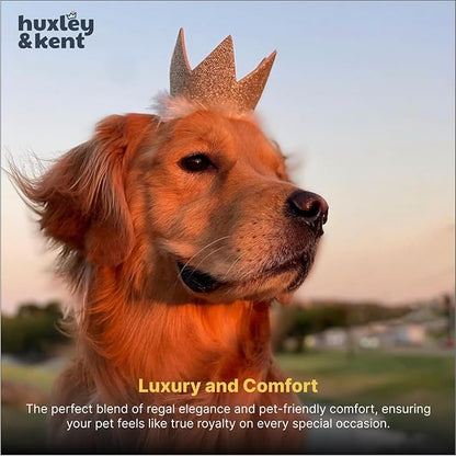 Huxley & Kent Pet Party Crown – Adjustable Glitter Crown Hat with SnugFit Straps – Party Accessory for Dogs & Cats – Gold, Large