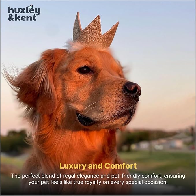 Huxley & Kent Pet Party Crown – Adjustable Glitter Crown Hat with SnugFit Straps – Party Accessory for Dogs & Cats – Gold, Small