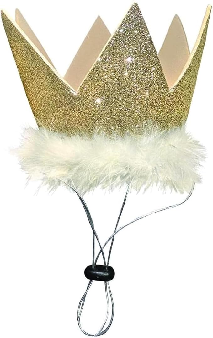 Huxley & Kent Pet Party Crown – Adjustable Glitter Crown Hat with SnugFit Straps – Party Accessory for Dogs & Cats – Gold, Small