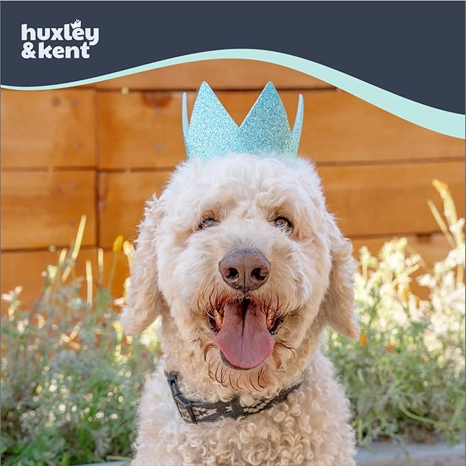 Huxley & Kent Pet Party Crown Hat for Dogs & Cats - Comfortable SnugFit Adjustable Straps - Glitter Crown for Parties, Gotcha Days & Celebrations - Blue, Large