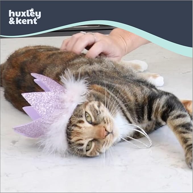 Huxley & Kent Pet Party Crown Hat for Dogs & Cats - Comfortable SnugFit Adjustable Straps - Glitter Crown for Parties, Gotcha Days & Celebrations - Purple, Large