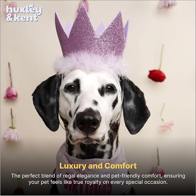 Huxley & Kent Pet Party Crown Hat for Dogs & Cats - Comfortable SnugFit Adjustable Straps - Glitter Crown for Parties, Gotcha Days & Celebrations - Purple, Small