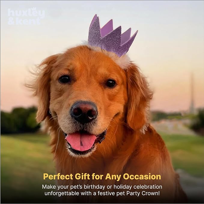 Huxley & Kent Pet Party Crown Hat for Dogs & Cats - Comfortable SnugFit Adjustable Straps - Glitter Crown for Parties, Gotcha Days & Celebrations - Purple, Small