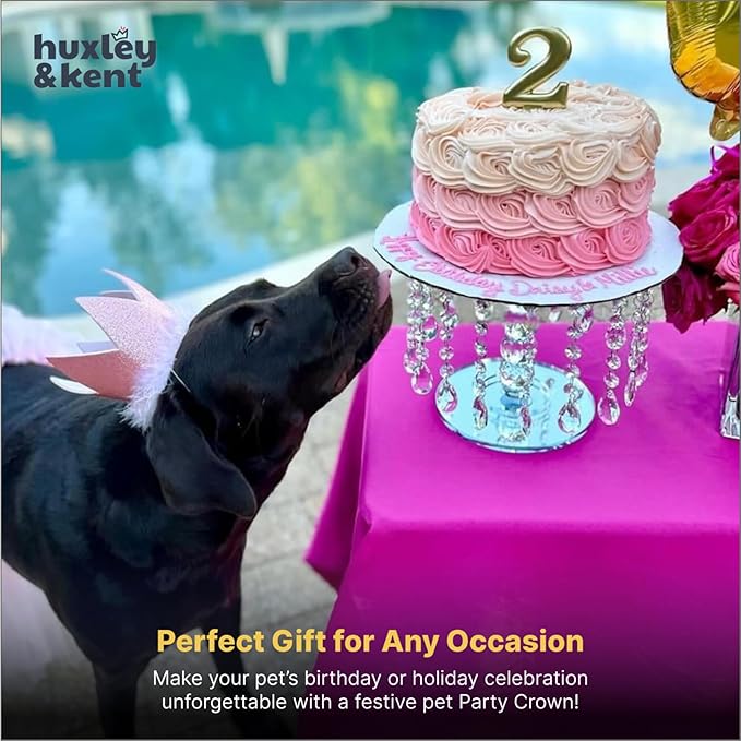 Huxley & Kent Pet Party Crown – SnugFit Glitter Hat for Dogs & Cats – Party Wear with Adjustable Straps – Pink, Small