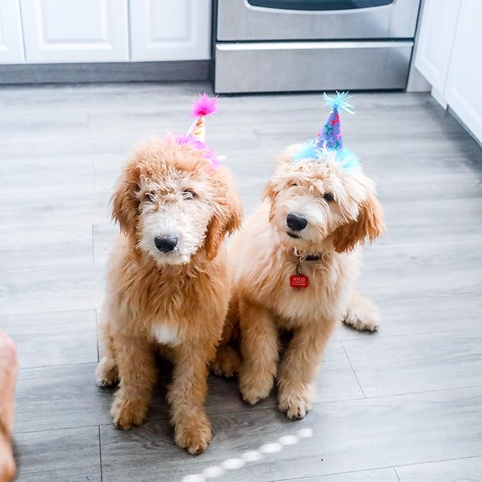Huxley & Kent Pet Party Hat for Dogs & Cats - Fun Birthday Hat with SnugFit Adjustable Straps - Comfy Pet Costume Accessory for Parties, Gotcha Days & Celebrations - Pink, Small
