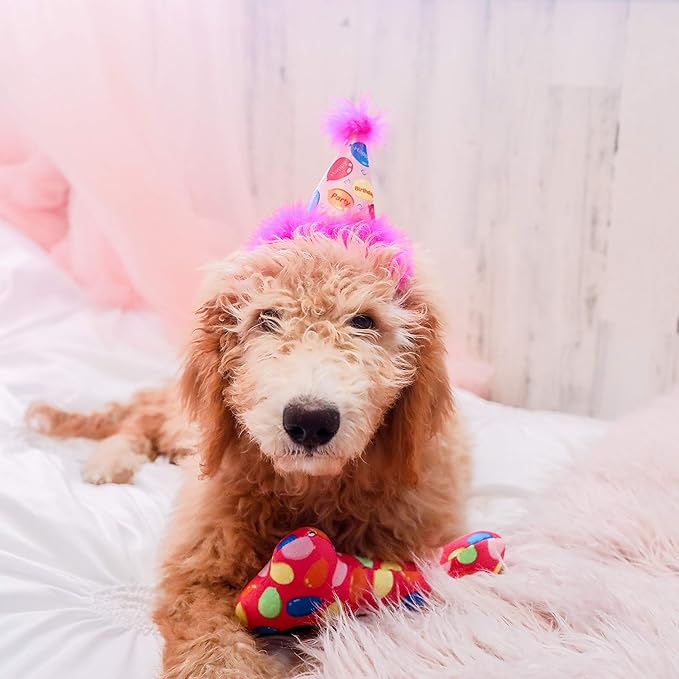Huxley & Kent Pet Party Hat for Dogs & Cats - Fun Birthday Hat with SnugFit Adjustable Straps - Comfy Pet Costume Accessory for Parties, Gotcha Days & Celebrations - Pink, Small