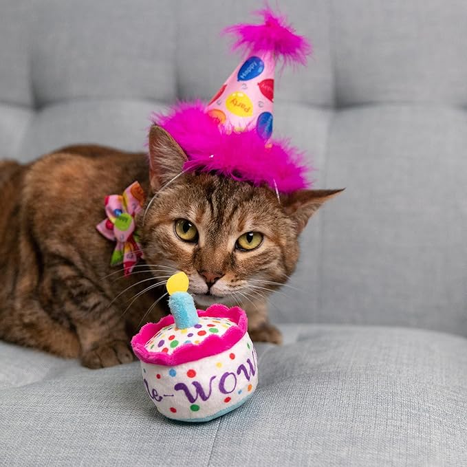 Huxley & Kent Pet Party Hat for Dogs & Cats - Fun Birthday Hat with SnugFit Adjustable Straps - Comfy Pet Costume Accessory for Parties, Gotcha Days & Celebrations - Pink, Small