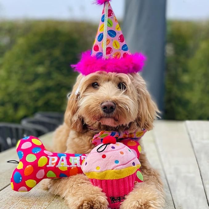Huxley & Kent Pet Party Hat for Dogs & Cats - Fun Birthday Hat with SnugFit Adjustable Straps - Comfy Pet Costume Accessory for Parties, Gotcha Days & Celebrations - Pink, Small
