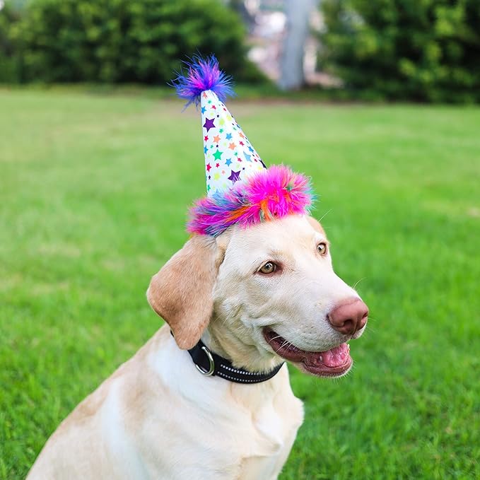 Huxley & Kent Pet Party Hat for Dogs & Cats - Fun Birthday Hat with SnugFit Adjustable Straps - Comfy Pet Costume Accessory for Parties, Gotcha Days & Celebrations - Superstar, Large